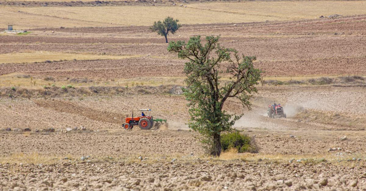 Foto: Murat Halıcı / Pexels