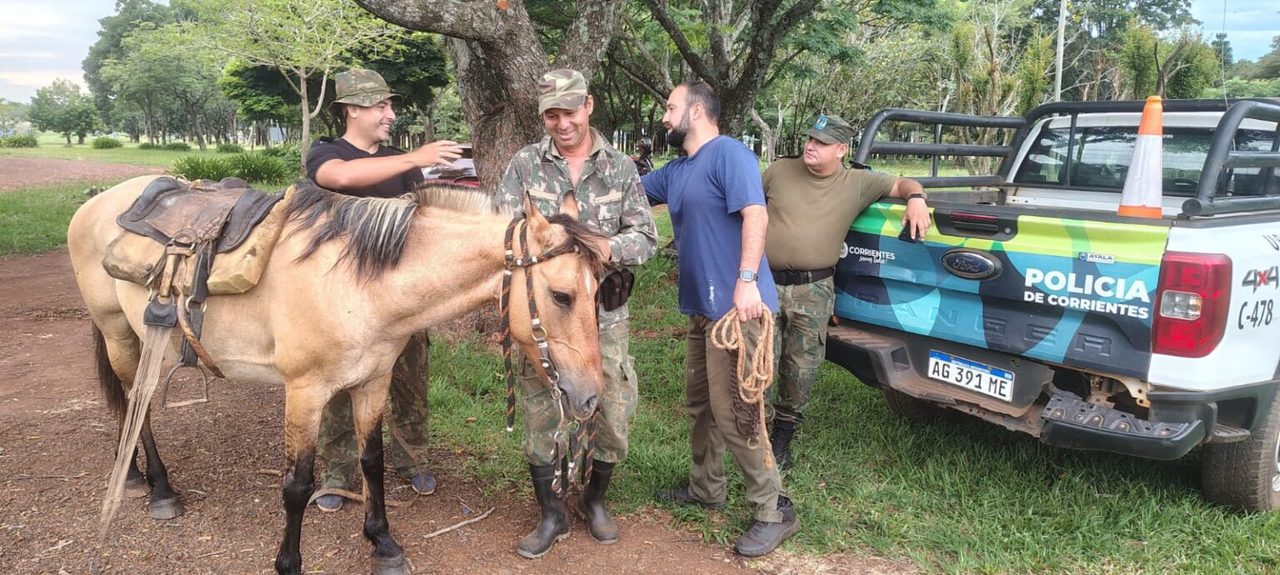 Rescataron a una yegua usada por cuatreros y ahora es madre