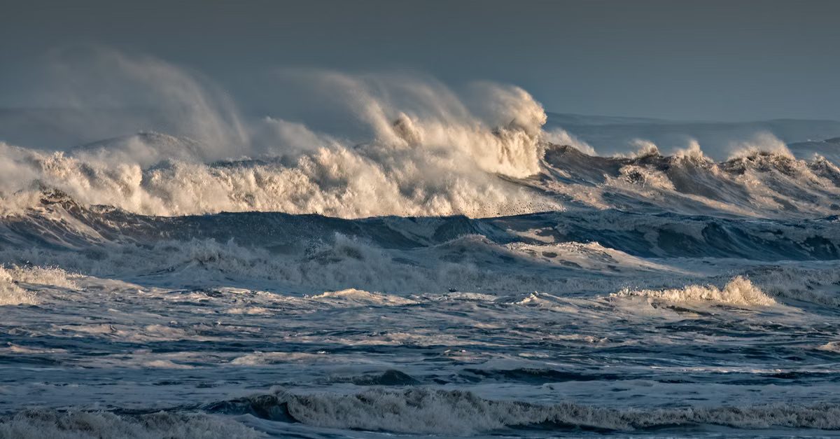 Foto: Ray Bilcliff / Pexels