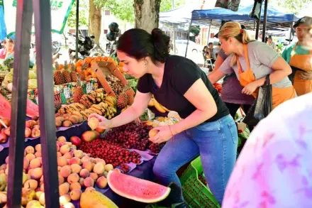 Las Ferias de la Ciudad arrancan un nuevo recorrido semanal