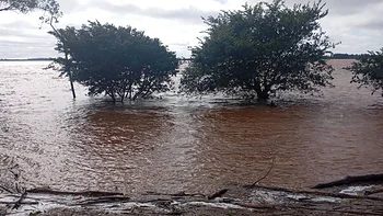 Crecida del río Uruguay: cuatro ciudades correntinas en alerta