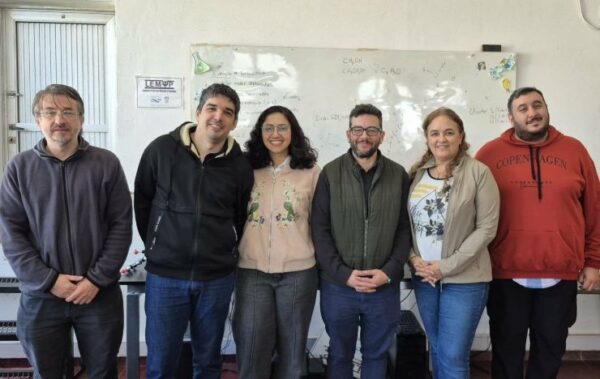 Estudian con simulaciones cómo transformar biomasa en biocombustibles y bioproductos