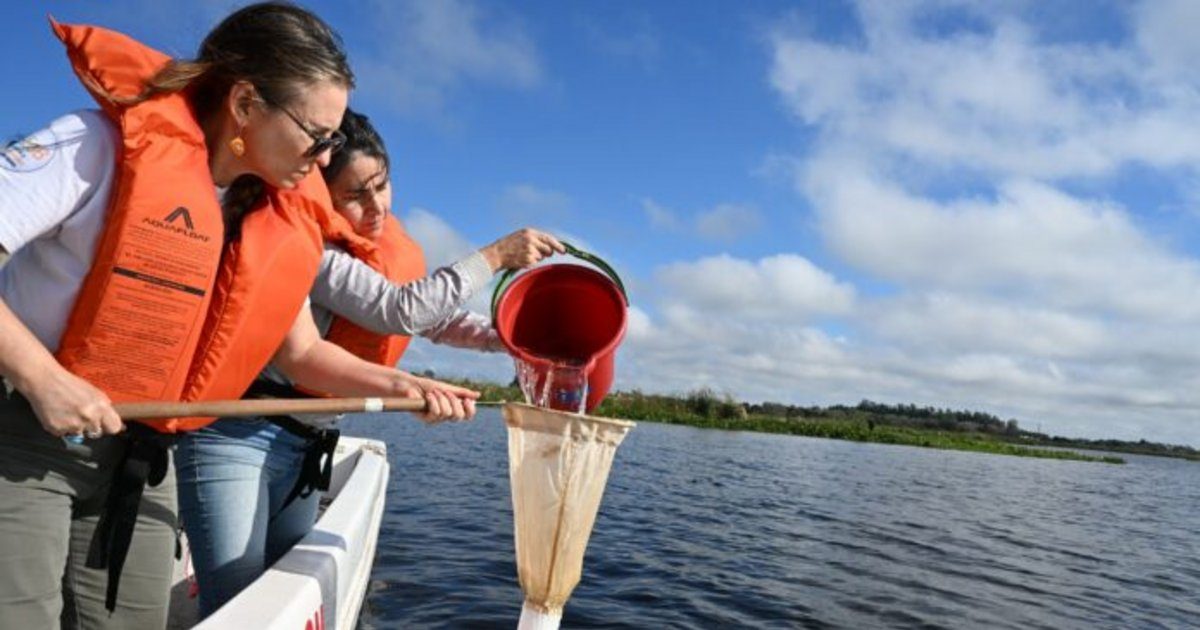 Buscan microplásticos en ríos y lagunas de Corrientes