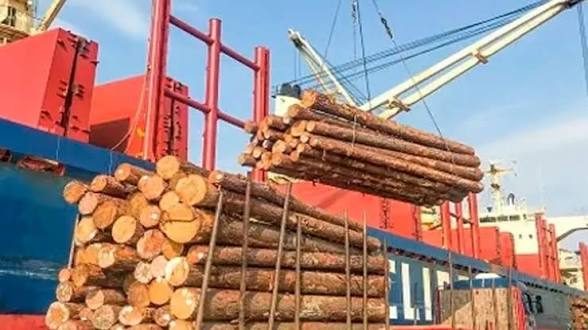 Logística: el freno que traba las exportaciones de madera