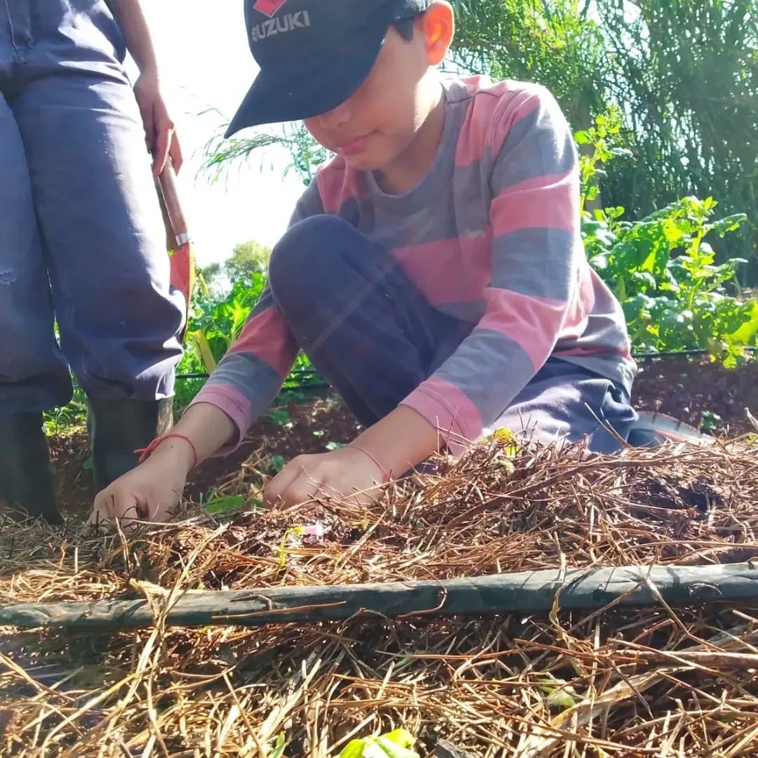 Talleres de huerta en escuelas rurales de Colonia Unión