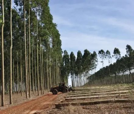 Valdés lleva a Iguazú el plan correntino para atraer inversiones