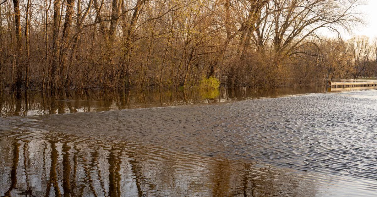 Foto: Tom Fisk / Pexels