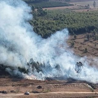 Vientos fuertes disparan riesgo extremo de incendios en Corrientes