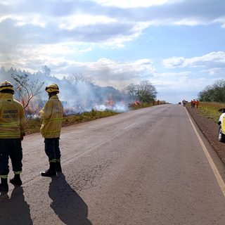 Queman pastizales en 20 km de la Ruta 94 para evitar incendios