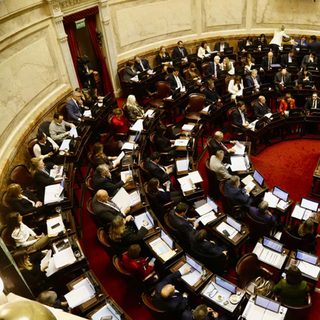 Senado tratará ley que abre tierras rurales a extranjeros