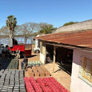 Secuestran contrabando de bebidas por $420 millones en Corrientes