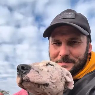 Operan a Riana, la perra rescatada tras años de maltrato