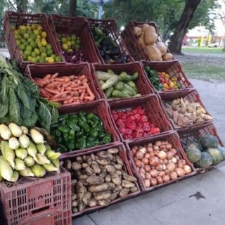 La cebolla llega a $5.000 por kilo en Corrientes