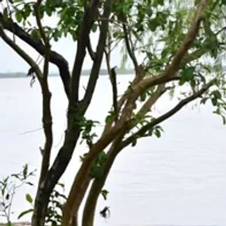 La crecida del Paraná ya cerró tres playas en Corrientes