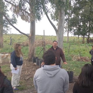 Estudiantes correntinos visitaron una finca de nuez pecán