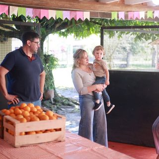 Cosecharon mandarinas para donarlas a un comedor infantil