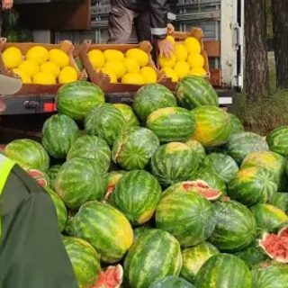 Decomisan casi 9 toneladas de sandías y melones en Corrientes