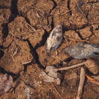 Foto: Long Bà Mùi / Pexels