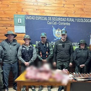 Allanamientos por abigeato en Goya: secuestran escopetas y carne