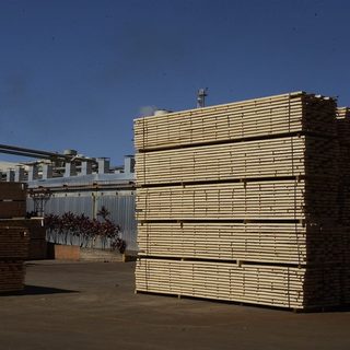Brasil pierde US$275 millones en exportaciones de madera