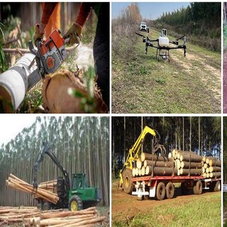 El foresto-industrial busca inversiones y mira a Ituzaingó
