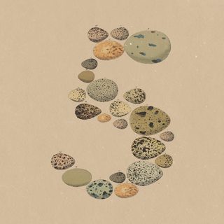 Anthropic lanza Claude Opus 5, más barato y eficiente