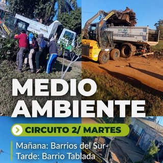Medio Ambiente : Martes