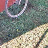 Vendo bicicleta Rodado 26
