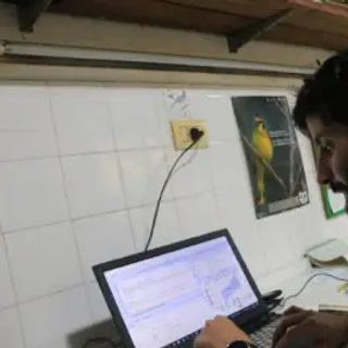 Un investigador de la UNNE, becado para estudiar al carpintero blanco