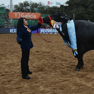 Búfalos correntinos, en Palermo con la mira en Ituzaingó