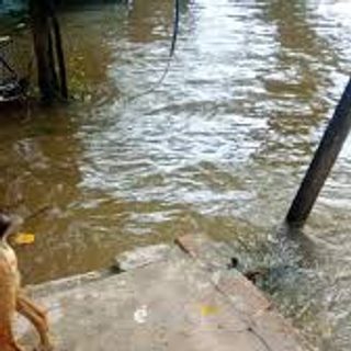 El agua avanzó en Bañado Norte y hay familias evacuadas