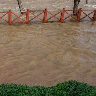 Foto: Engin Akyurt / Pexels