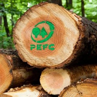 Garabí y Virasoro, motores de la madera certificada correntina