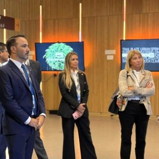 Valdés viajará a París con Milei para mostrar el potencial forestal correntino