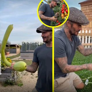 David Beckham sorprende con una calabaza gigante de su huerta