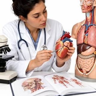 Fundación Barceló abre el curso introductorio de Medicina 2027
