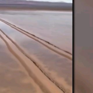 Camioneta dejó huellas de hasta un siglo en zona protegida