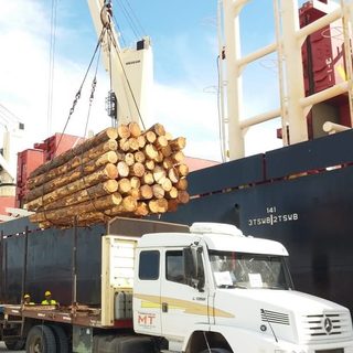 La demanda interna de madera cayó 40% en el año
