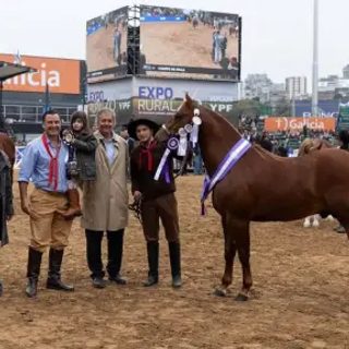 Un caballo correntino se destacó en la Rural de Palermo