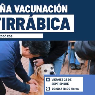 Vacunación antirrábica gratuita para perros y gatos