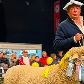 Un carnero correntino se consagró campeón en Palermo
