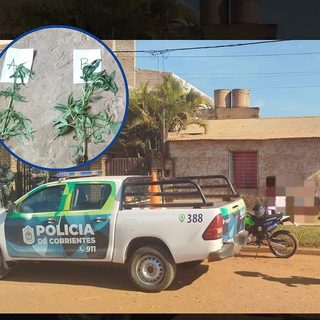Corrientes: allanamientos antidroga dejan un detenido