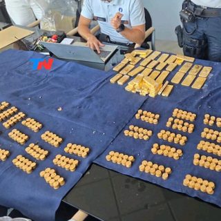Un joven encontró 49 lingotes y 4.000 monedas de oro en una obra