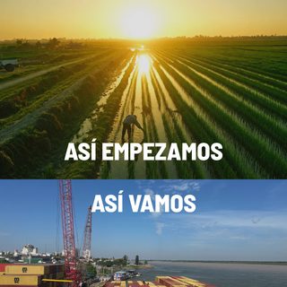 La producción correntina, del campo a cada hogar