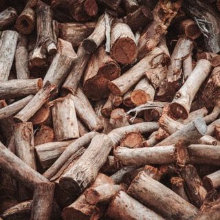 Foto: Matt Webster / Pexels
