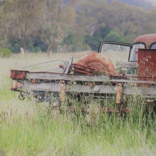 Foto: Lynn Elder / Pexels