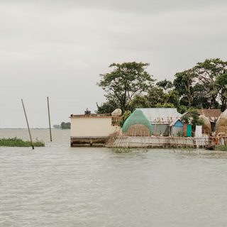 Foto: Sabbir Bhuiyan / Pexels