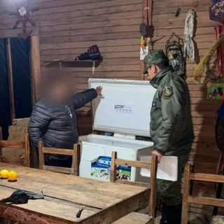 Robó un chancho, lo carneó y vendió la carne al vecindario