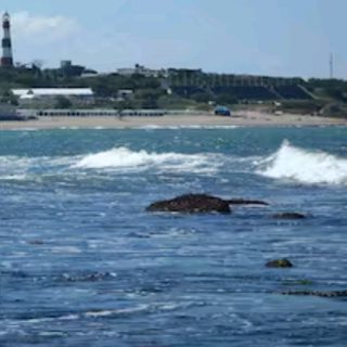 Una isla se formó frente al faro de Punta Mogotes en Mar del Plata