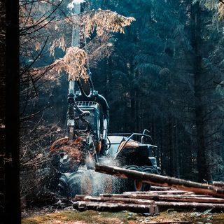Foto: Nicklas Toft / Pexels